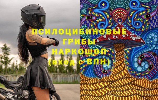 PSILOCYBIN Беломорск